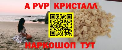гашик Будённовск