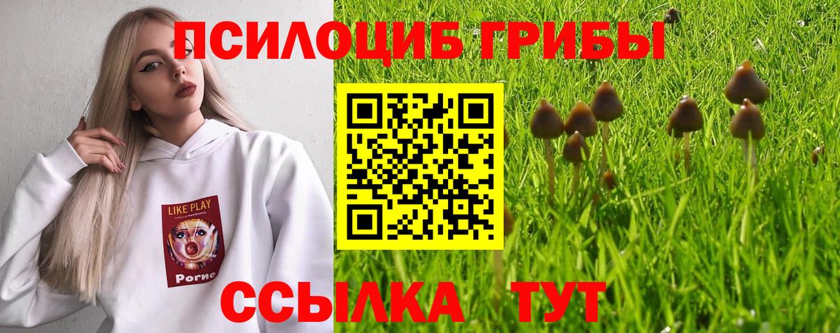 Курганинск  Галлюциногенные грибы прущие грибы  дарнет шоп  Вход с VPN 